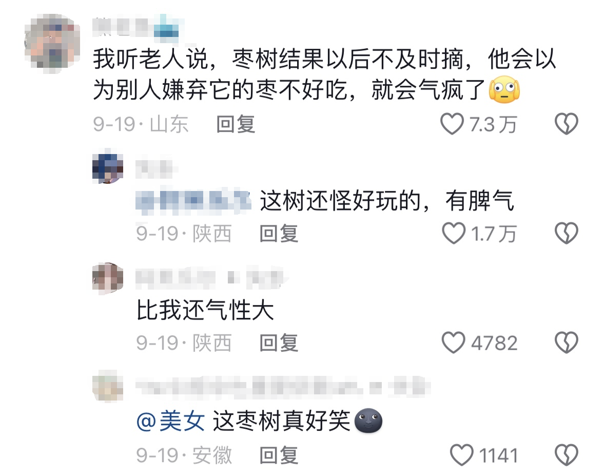 微信图片_20240927145221.png