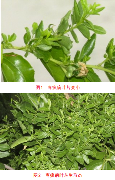微信图片_20240927145244.png