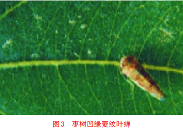 微信图片_20240927145309.png