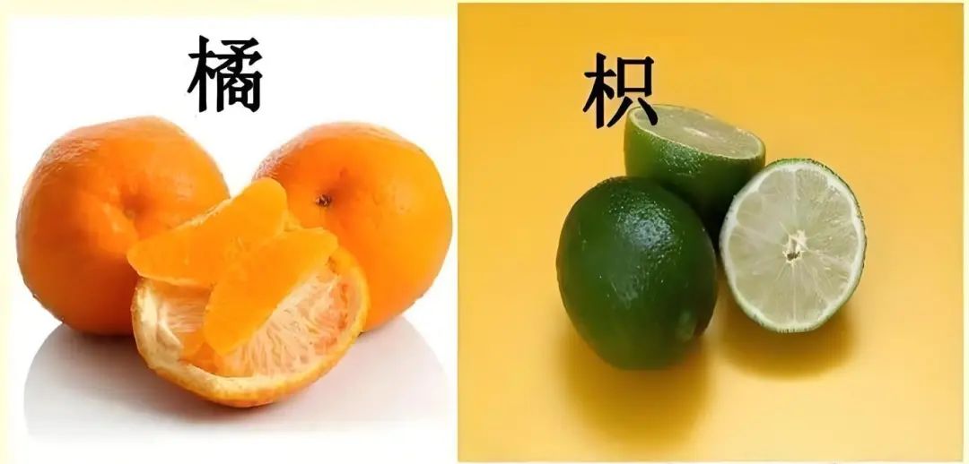微信图片_20241213101843.jpg