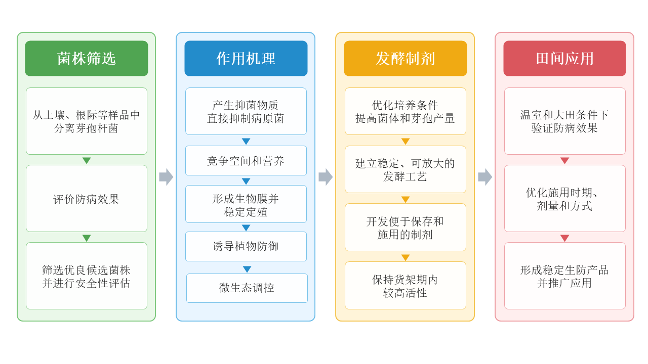 图3-芽孢杆菌生防菌株从筛选到田间应用的研发流程.png
